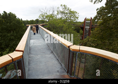 Die Rhizotron und Xstrata Treetop Walkway, Kew Gardens, London, UK Stockfoto