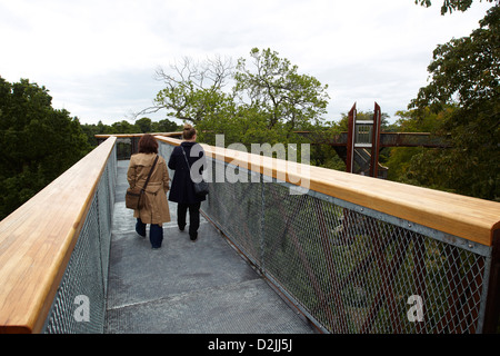 Die Rhizotron und Xstrata Treetop Walkway, Kew Gardens, London, UK Stockfoto