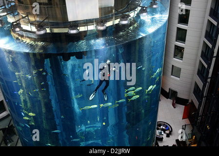 Berlin, Deutschland, bei Tauchern Aquadom Sealife im Hotel Radisson SAS Stockfoto