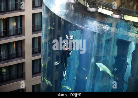 Berlin, Deutschland, bei Tauchern Aquadom Sealife im Hotel Radisson SAS Stockfoto