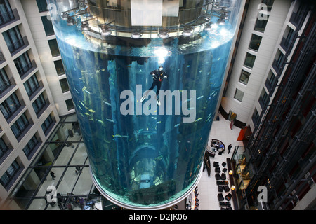 Berlin, Deutschland, bei Tauchern Aquadom Sealife im Hotel Radisson SAS Stockfoto