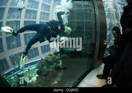 Berlin, Deutschland, bei Tauchern Aquadom Sealife, die aus dem Aufzug fotografiert Stockfoto