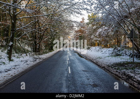 Haldon Moor, Devon, England. 21. Januar 2013.  Eine remote-Straße auf Haldon Moor mit Eis mit schneebedeckten Bäumen bedeckt. Stockfoto