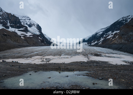 Columbia Icefield im Jasper National Park, AB, Canada Stockfoto