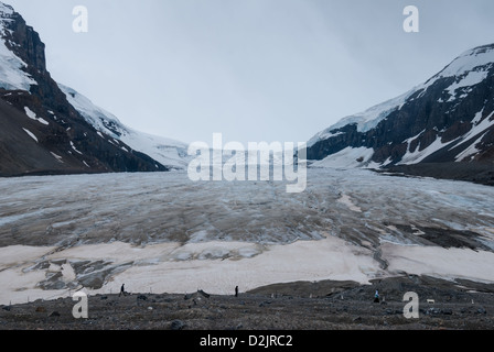 Columbia Icefield im Jasper National Park, AB, Canada Stockfoto