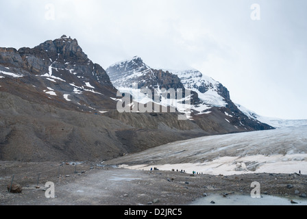 Columbia Icefield im Jasper National Park, AB, Canada Stockfoto