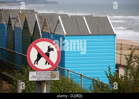 Hundeausschilderung bei den Strandhütten am Boscombe Beach, Bournemouth, Dorset UK im Januar - kein Hundeschild Stockfoto