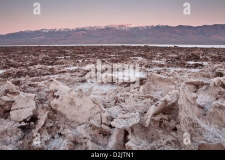 Salzkristalle bei Badwater unter frühen Licht auf der Panamint Range, Death Valley Nationalpark, Kalifornien. Stockfoto