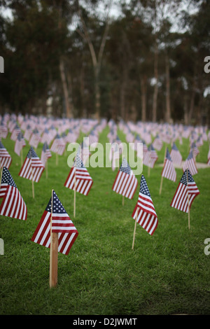 Viele kleine amerikanische Flaggen in Zeilen einrichten Stockfoto