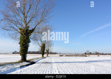 Schneebedeckten Feld in der Nähe von Acle, Norfolk, Großbritannien Stockfoto