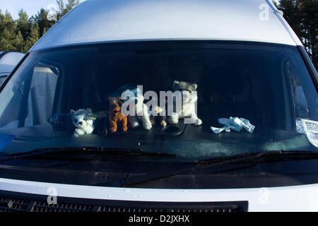 Aviemore, UK. 26. Januar 2013. Stofftier Huskys aufgereiht entlang dem Armaturenbrett eines Lieferwagens auf der 30. jährlichen Aviemore Sled Dog Rally. Dies ist die größte britische Schlittenhunde Rennevent des Jahres und husky-Enthusiasten haben sich versammelt um zu sehen und nehmen Teil. Stockfoto