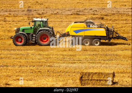 Moderne Mähdrescher auf dem Feld arbeiten. Stockfoto