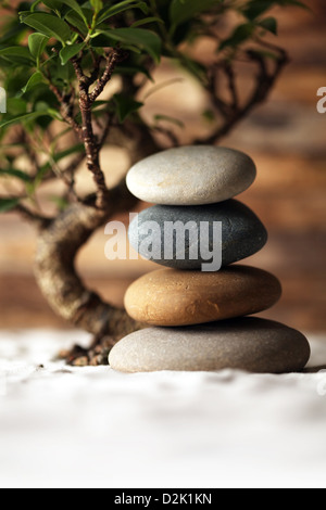 Gestapelten Steinen auf Sand mit Bonsai-Baum Stockfoto