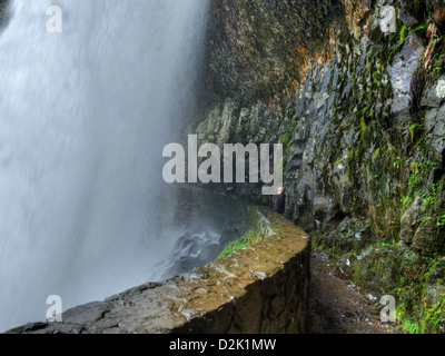 Ein Tourist schaut hinauf zum Lower South Falls in Oregon Silver Falls State Park Stockfoto