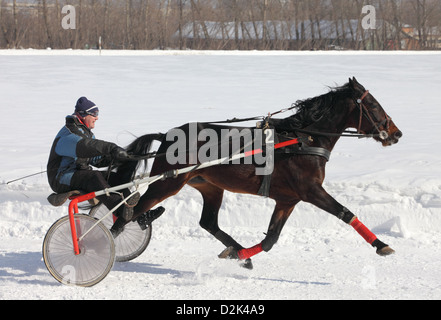 Winter-Pferderennen begann im Hippodrom, Tambow, Russland Stockfoto