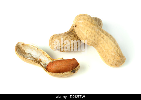 Rohe Erdnüsse in Schalen und weißen geschälten Erdnüssen isoliert Stockfoto