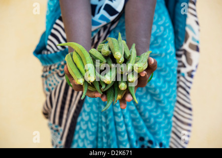 Indische Dorf Frau Okra (Damen Finger) Gemüse in ihren Händen hält. Andhra Pradesh, Indien Stockfoto