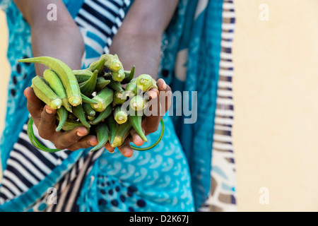 Indische Dorf Frau Okra (Damen Finger) Gemüse in ihren Händen hält. Andhra Pradesh, Indien Stockfoto