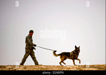 U.S. Air Force Staff Sergeant und militärischen arbeiten dog Handler läuft seine militärische Gebrauchshund Karo durch einen Sprengsatz Erkennung Trainingseinheit mit Forward Operating Base Lagman 18. Februar 2011 in Zabul, Afghanistan. Stockfoto