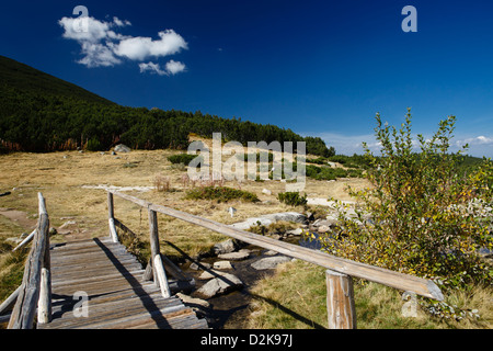 Holzbrücke über den kleinen Bergfluss Stockfoto