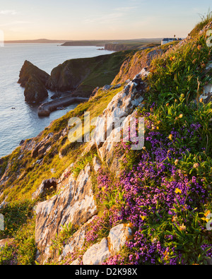 Sonnenuntergang mit Blick auf Mullion Cove Cornwall England UK Stockfoto