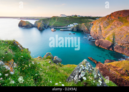 Sonnenuntergang mit Blick auf Mullion Cove Cornwall England UK Stockfoto