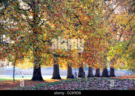 Hyde Park In London Herbst Stockfoto