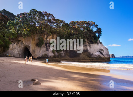 Cathedral Cove auf der Coromandel Peninsula, Neuseeland Stockfoto