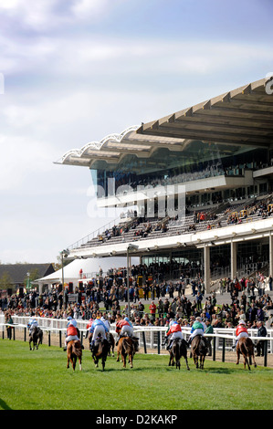 Junge Jockeys Rennen den Hügel in 148cm und unter Charles Owen Pony Race Finale bei einer Kinder-Versammlung im Cheltenham Racecour Stockfoto