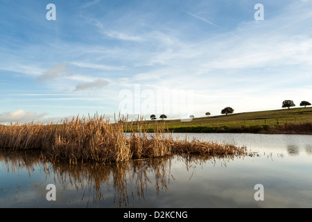 See und Landschaft in Castro Verde, Alentejo, Portugal Stockfoto