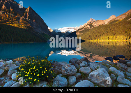 Lake Louise Alberta Kanada Stockfoto