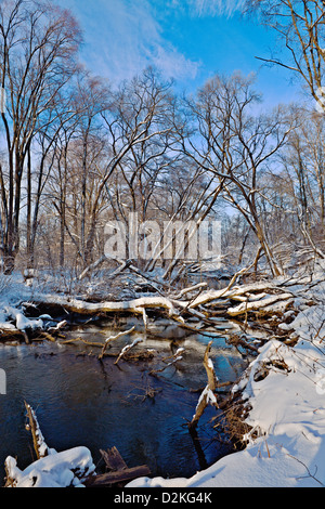 Bäume über den Fluss nach Schneeregen im Moskauer Gebiet Stockfoto