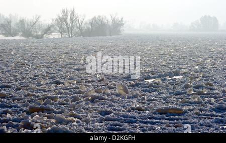 Die Odra an der deutsch-polnischen Grenze ist mit Eisschollen in Hohenwutzen, Deutschland, 27. Januar 2013 bedeckt. Das Treibeis in Oder mit einer Länge von 70 Kilometern hat den Fluss zum Erliegen gebracht. Foto: Patrick Pleul Stockfoto