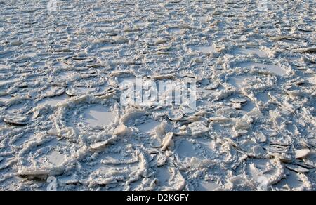 Die Odra an der deutsch-polnischen Grenze ist mit Eisschollen in Hohenwutzen, Deutschland, 27. Januar 2013 bedeckt. Das Treibeis in Oder mit einer Länge von 70 Kilometern hat den Fluss zum Erliegen gebracht. Foto: Patrick Pleul Stockfoto