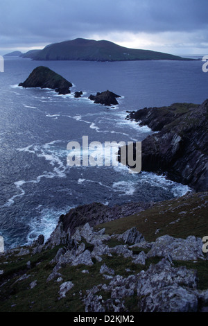 Die Küste von Dunquin Blick auf die Blasket Islands, auf der Halbinsel Dingle, County Kerry, Irland. Stockfoto