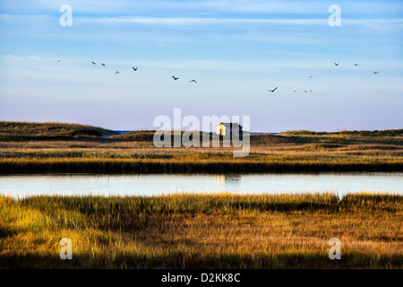 Remote Beach Shack, Martha's Vineyard, Massachusetts, USA Stockfoto