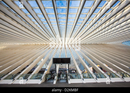 Der Bahnhof von Lüttich, Gare de Liège-Guillemins, entworfen vom spanischen Architekten Santiago Calatrava. Lüttich, Wallonien, Belgien Stockfoto