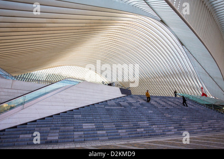 Der Bahnhof von Lüttich, Gare de Liège-Guillemins, entworfen vom spanischen Architekten Santiago Calatrava. Lüttich, Wallonien, Belgien Stockfoto