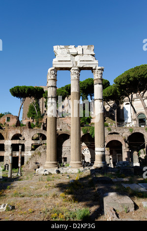 Die drei neu errichteten korinthischen Säulen und Gebälk des Julius-Tempel der Venus Genetrix und das Forum von Caesar Stockfoto