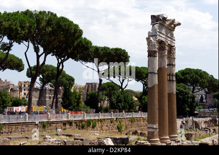 Die drei neu errichteten korinthischen Säulen und Gebälk des Julius-Tempel der Venus Genetrix und das Forum von Caesar Stockfoto