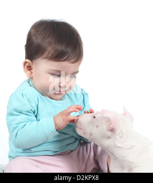 Baby spielt mit einem Bull-Terrier-Welpen auf einem weißen Hintergrund isoliert Stockfoto