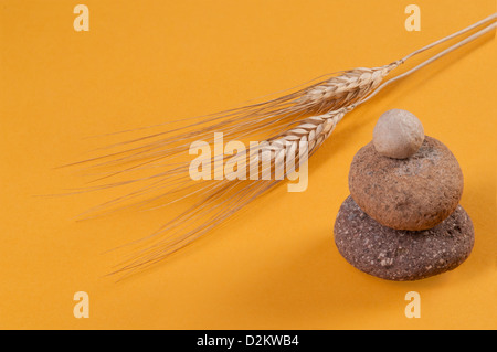 Gestapelten Steinen und Ähren (Triticum spp.) Stockfoto