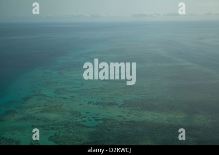 Antenne mit Blick auf die marine Korallen Systeme des Meeres am Great Barrier Reef, Australien Stockfoto