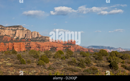 Typische Ansicht der West Sedona mit Prickly Pear Cactus in Arizona USA Stockfoto