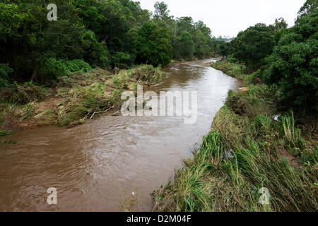 Brisbane, Australien. 28. Januar 2013. Fotos von Brisbane City in der Nachmahd des tropischen Ex-Zyklon Oswald Januar 2013.  JONATHAN AYRES / Alamy Live News Stockfoto