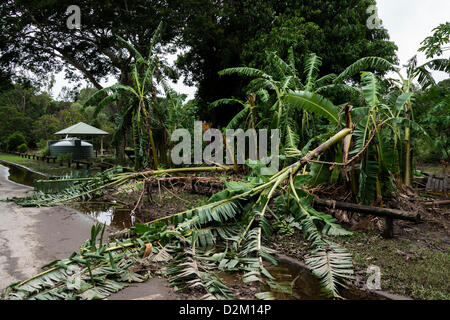 Brisbane, Australien. 28. Januar 2013. Fotos von Brisbane City in der Nachmahd des tropischen Ex-Zyklon Oswald Januar 2013.  JONATHAN AYRES / Alamy Live News Stockfoto