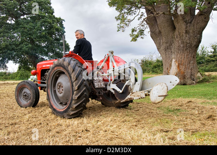 Traktor-Besitzer einen renovierten roten Massey Ferguson 35-Traktor mit Pflügen Ausrüstung zu fahren Stockfoto