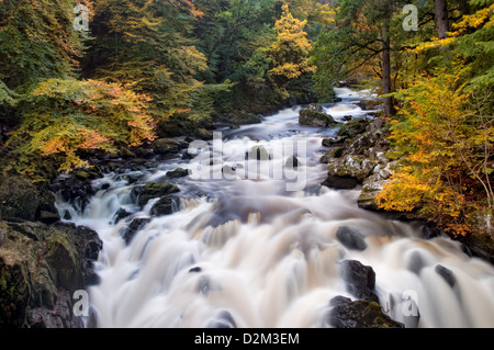 Der Fluss Braan genauso wie er beginnt, über den Wasserfall in der Nähe der Eremitage Torheit bei Dunkeld, Perthshire, Schottland im Trockner. Stockfoto