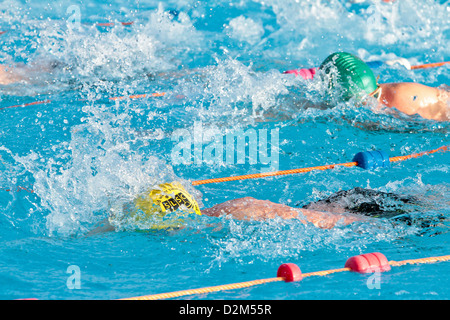 kaltes Wasser-Schwimmer im Tooting Bec Lido in Süd-London-UK Stockfoto