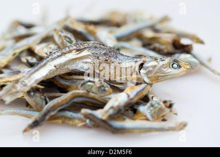 Getrocknete Fische Stockfoto